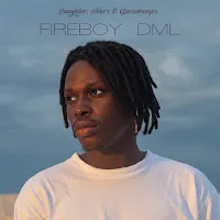 Fireboy Dml — Feel — обложка
